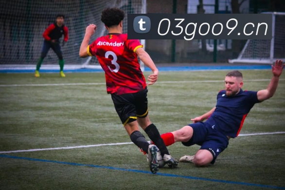 星空体育官方网站发展历程